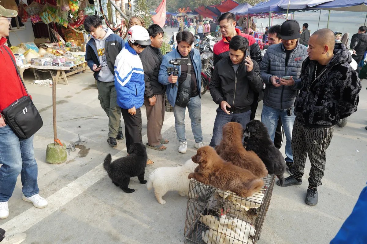 Độc đáo chợ phiên Bắc Hà cuối cùng trong năm - Ảnh 5.