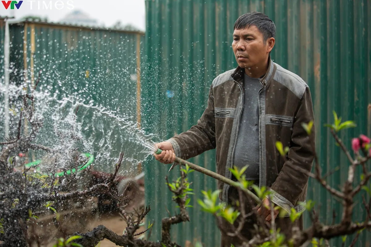 Lão nông xây phòng nghỉ cho đào thất thốn - Ảnh 5.