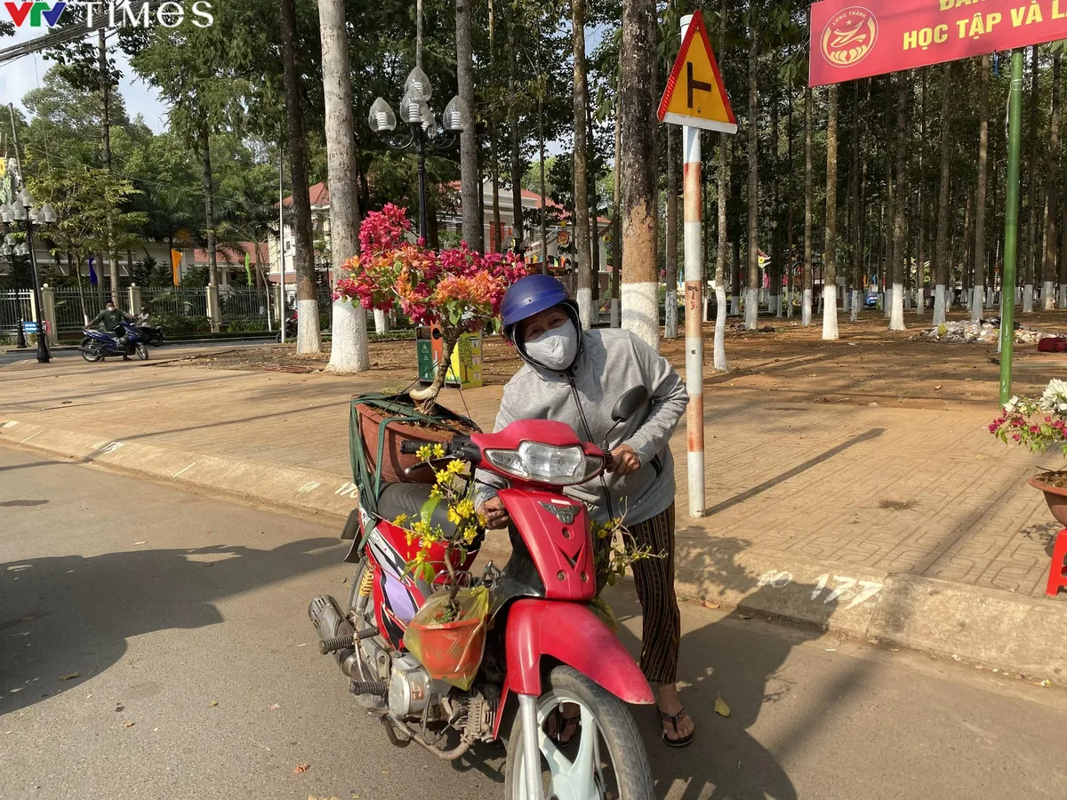 Chợ hoa ở Đồng Nai: người vui, kẻ ngậm ngùi chở cây về vườn - Ảnh 8.