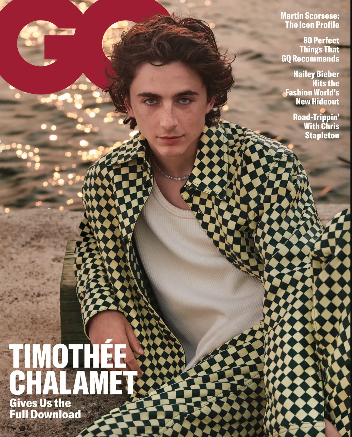 Timothée Chalamet - Con cưng mới của Hollywood - Ảnh 4.