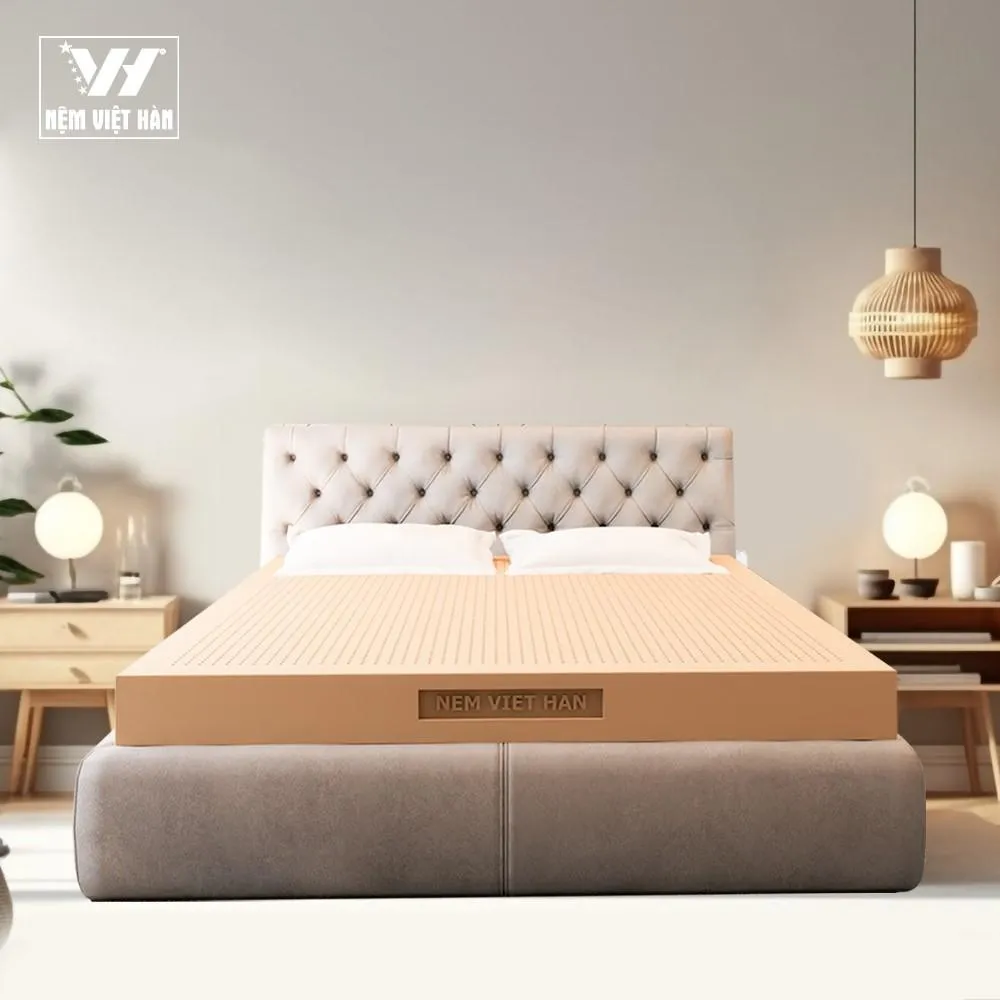 Nệm cao su thi&ecirc;n nhi&ecirc;n Việt H&agrave;n Luxury - Chất lượng vượt thời gian - Ảnh 1.