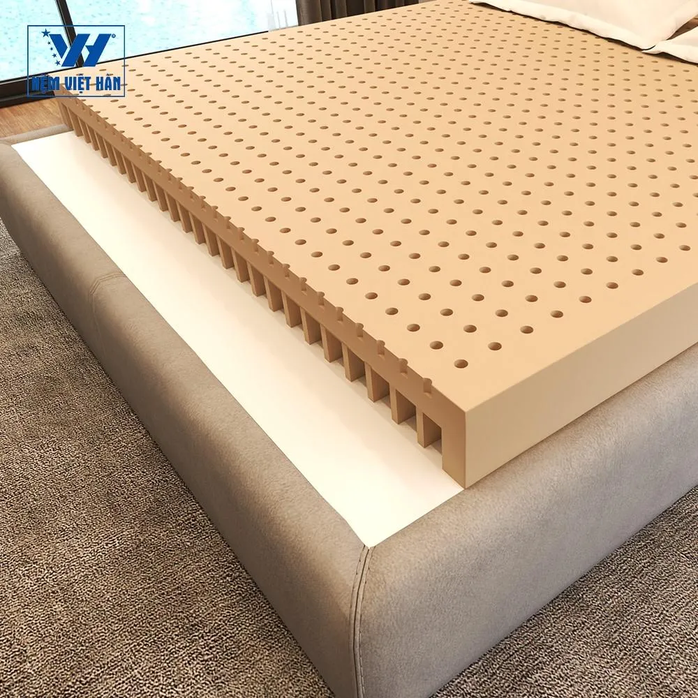 Nệm cao su thi&ecirc;n nhi&ecirc;n Việt H&agrave;n Luxury - Chất lượng vượt thời gian - Ảnh 3.