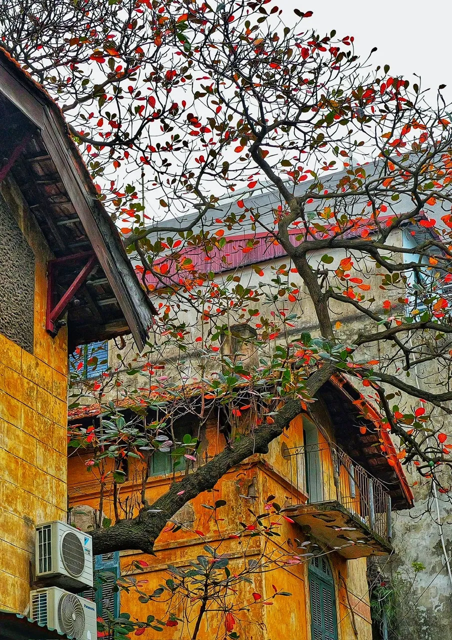 Ch&agrave;o th&aacute;ng tư - Ảnh 3.