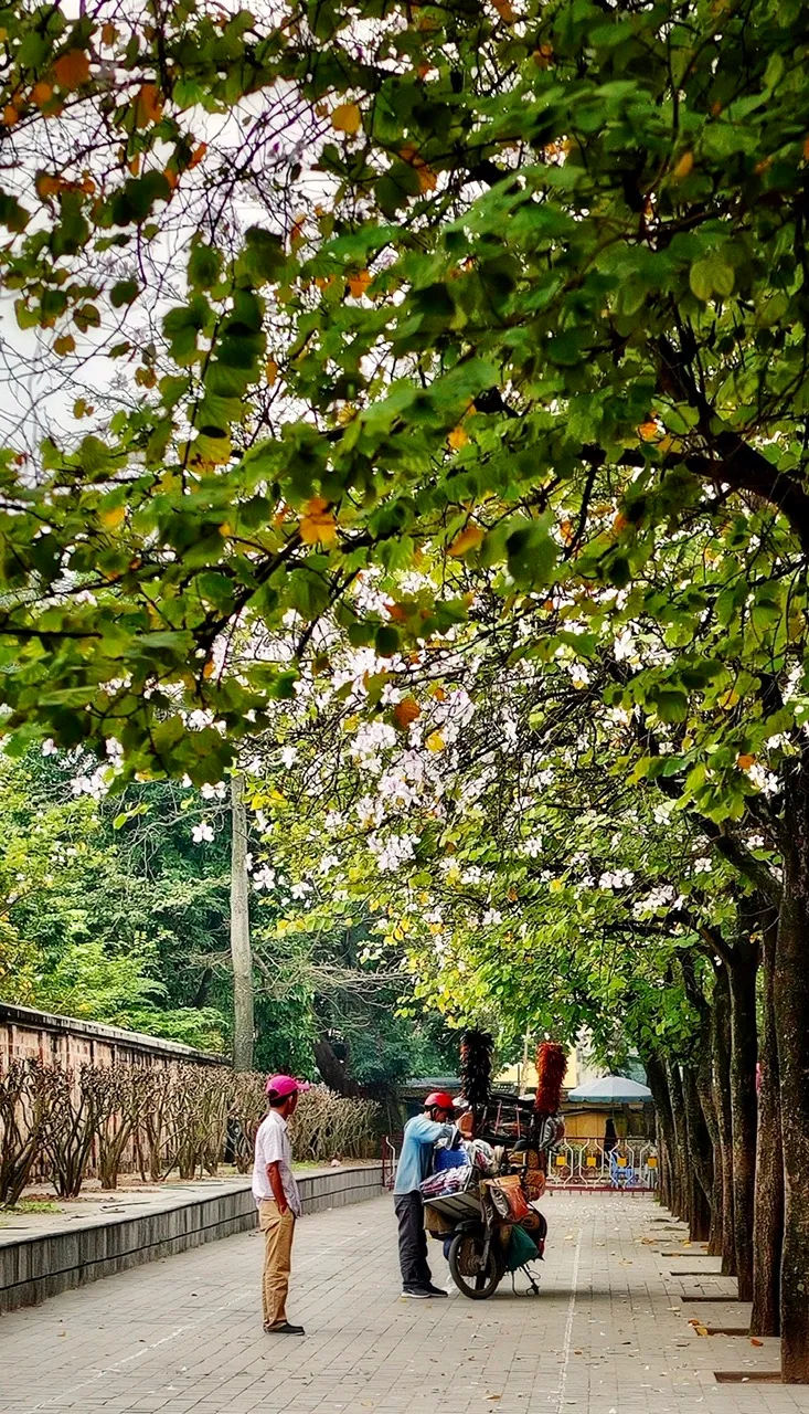 Ch&agrave;o th&aacute;ng tư - Ảnh 4.