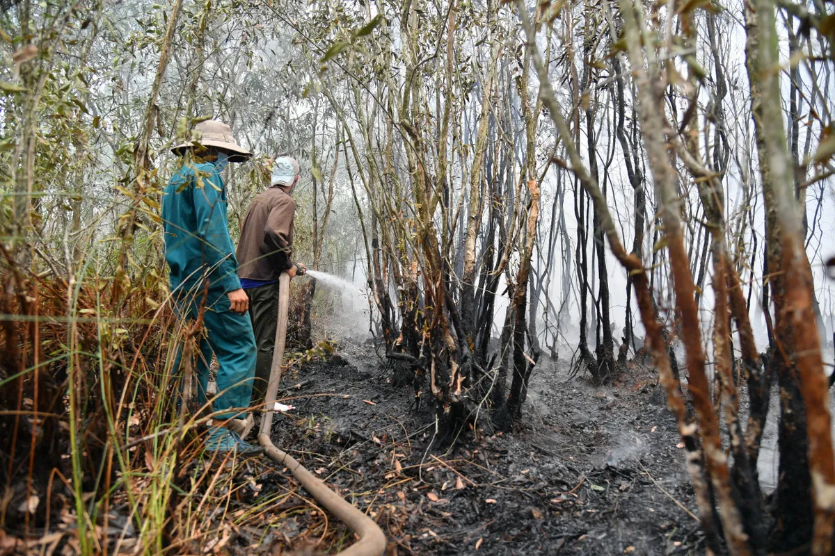 Ki&ecirc;n Giang: Kịp thời dập tắt li&ecirc;n tiếp 2 vụ ch&aacute;y rừng - Ảnh 2.