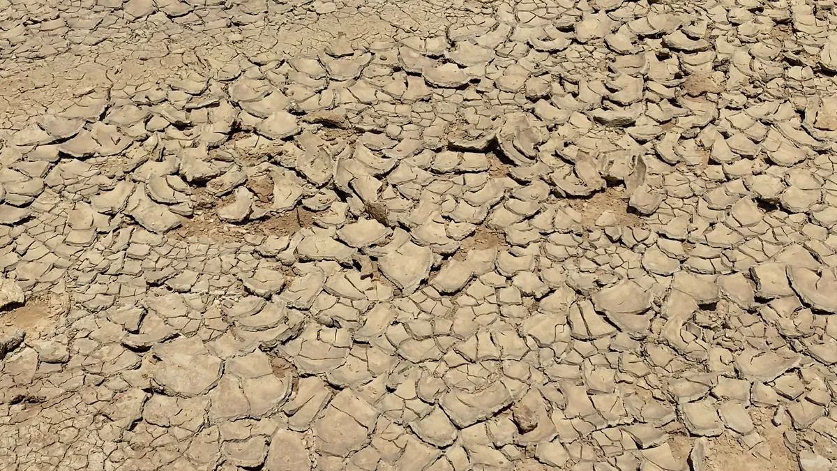 B&igrave;nh Thuận: C&aacute;c hồ chứa nước cạn kh&ocirc;, h&agrave;ng trăm hộ d&acirc;n đang &ldquo;kh&aacute;t nước&rdquo;  - Ảnh 4.