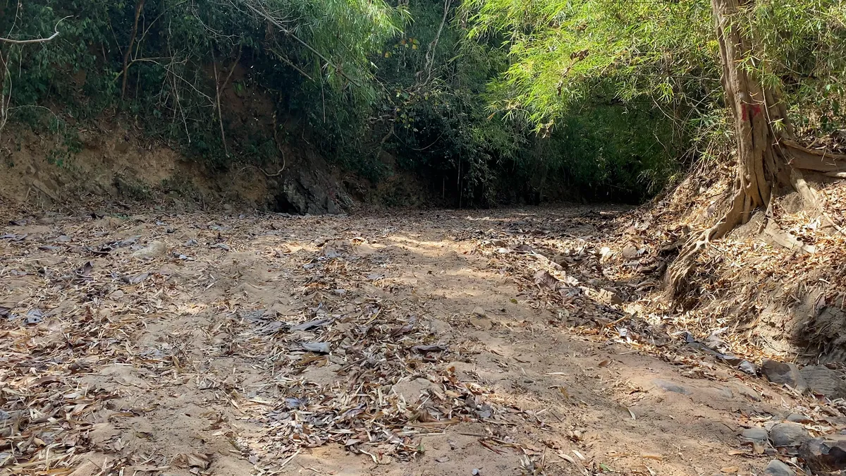 B&igrave;nh Thuận: C&aacute;c hồ chứa nước cạn kh&ocirc;, h&agrave;ng trăm hộ d&acirc;n đang &ldquo;kh&aacute;t nước&rdquo;  - Ảnh 9.