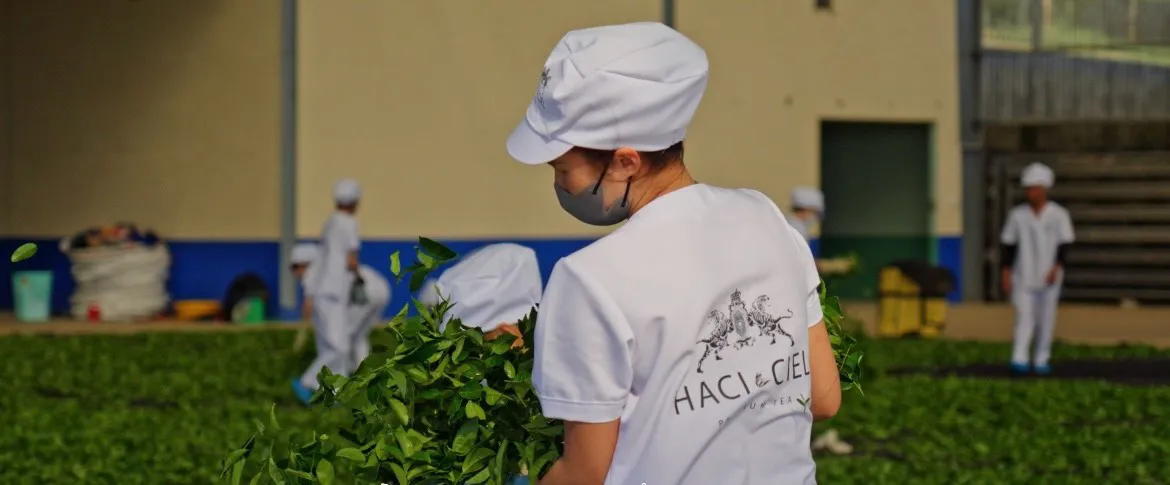 HACI mở rộng sản xuất tại L&acirc;m Đồng - Ảnh 2.