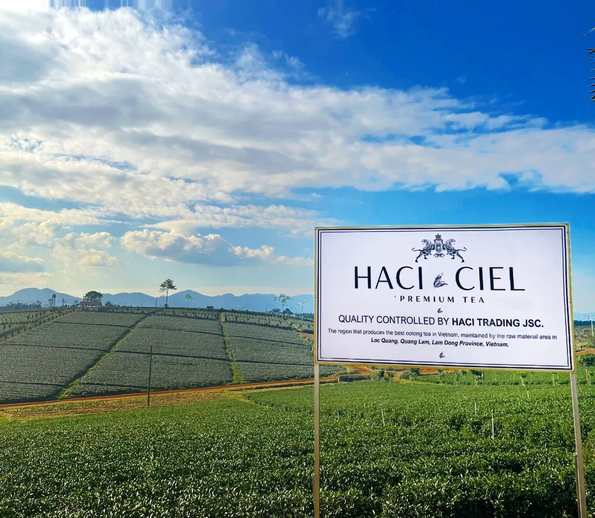 HACI mở rộng sản xuất tại L&acirc;m Đồng - Ảnh 4.