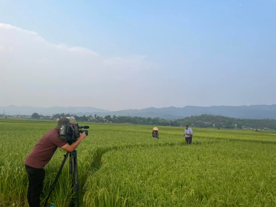 Ngắm hoàng hôn trên cánh đồng lớn nhất Tây Bắc - Ảnh 4.