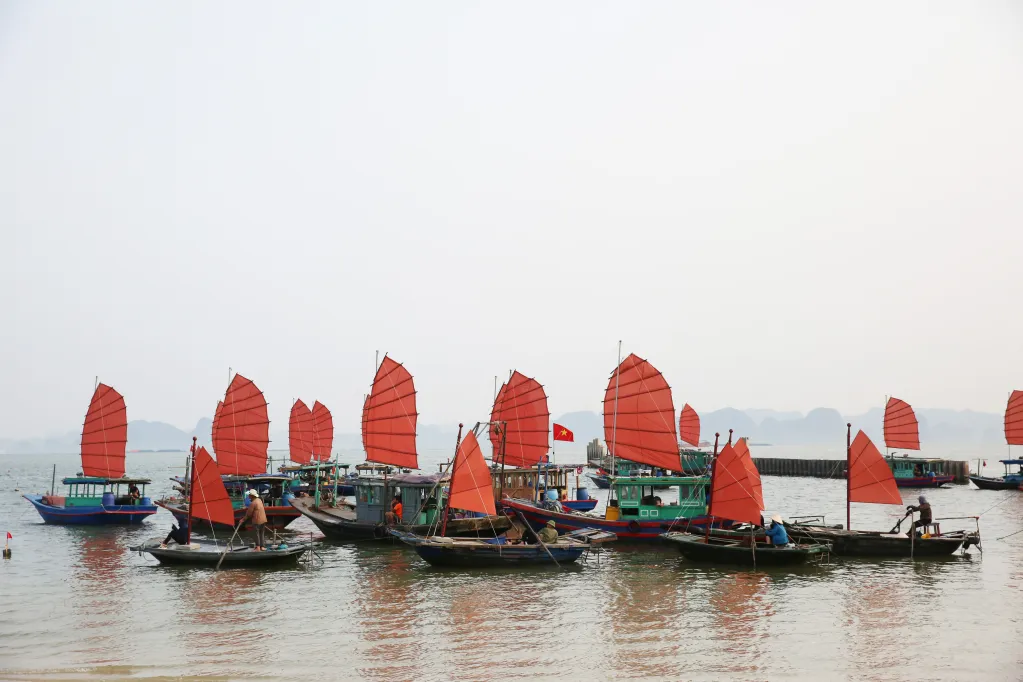 Không khí tập luyện Carnaval Hạ Long 2024 - Ảnh 12.