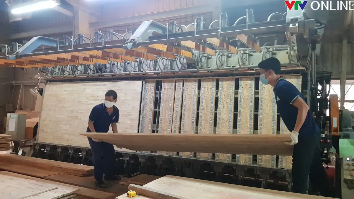 Long An: Điểm s&aacute;ng thu h&uacute;t đầu tư FDI khu vực đồng bằng s&ocirc;ng Cửu Long - Ảnh 1.