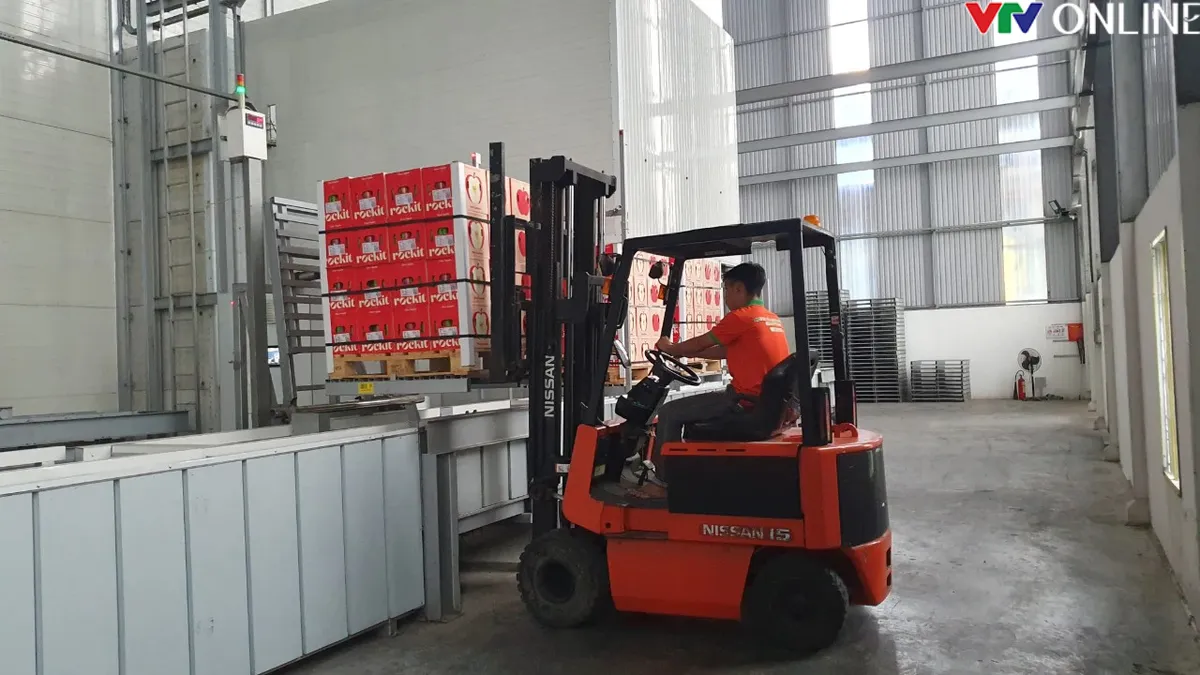 Long An: Điểm s&aacute;ng thu h&uacute;t đầu tư FDI khu vực đồng bằng s&ocirc;ng Cửu Long - Ảnh 2.