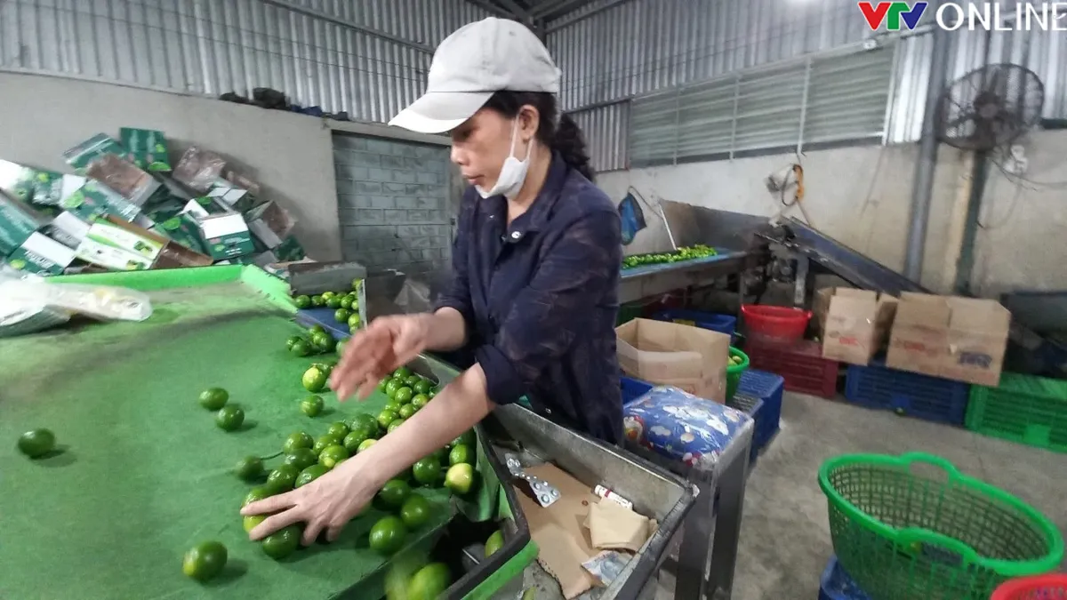 Long An: Điểm s&aacute;ng thu h&uacute;t đầu tư FDI khu vực đồng bằng s&ocirc;ng Cửu Long - Ảnh 3.