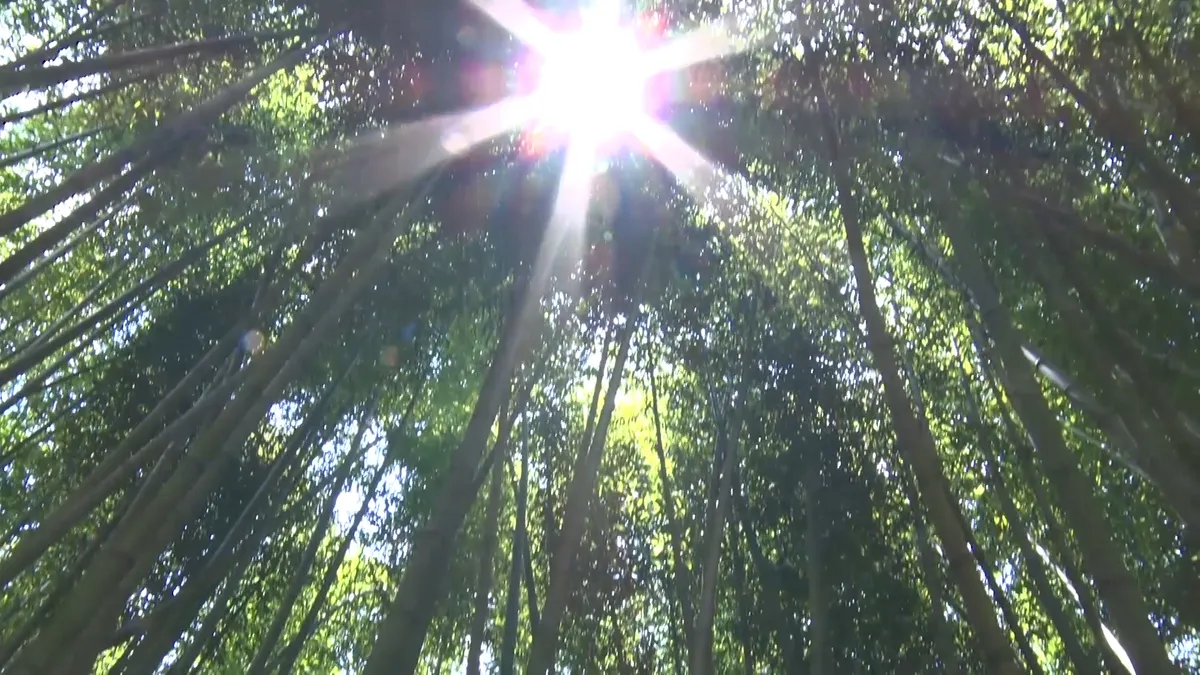 Đến Cao Bằng mùa hoa lê - Ảnh 10.