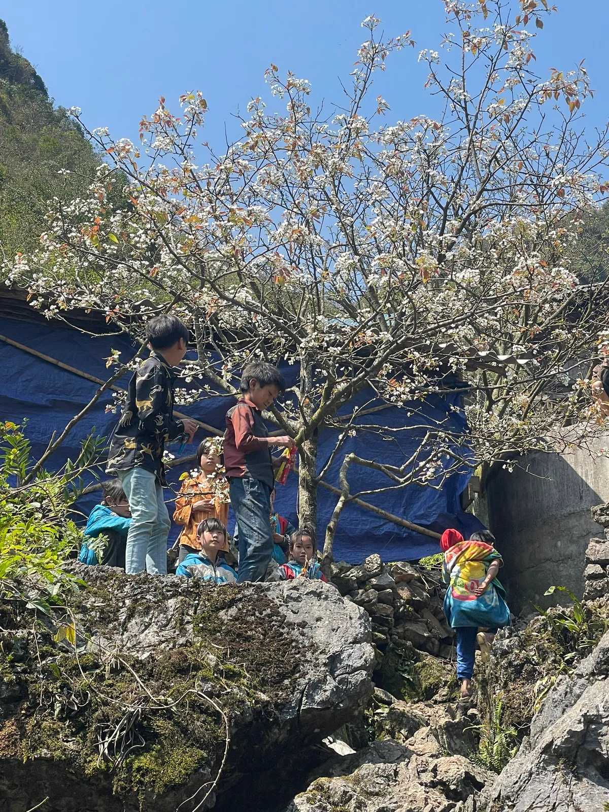 Đến Cao Bằng mùa hoa lê - Ảnh 4.