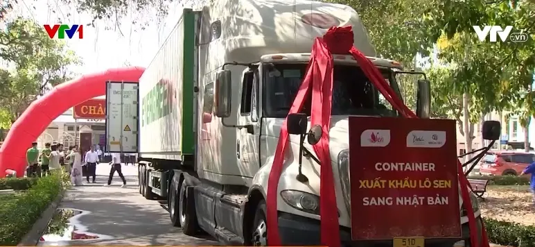 Sản phẩm từ sen rộng đường xuất khẩu - Ảnh 2.