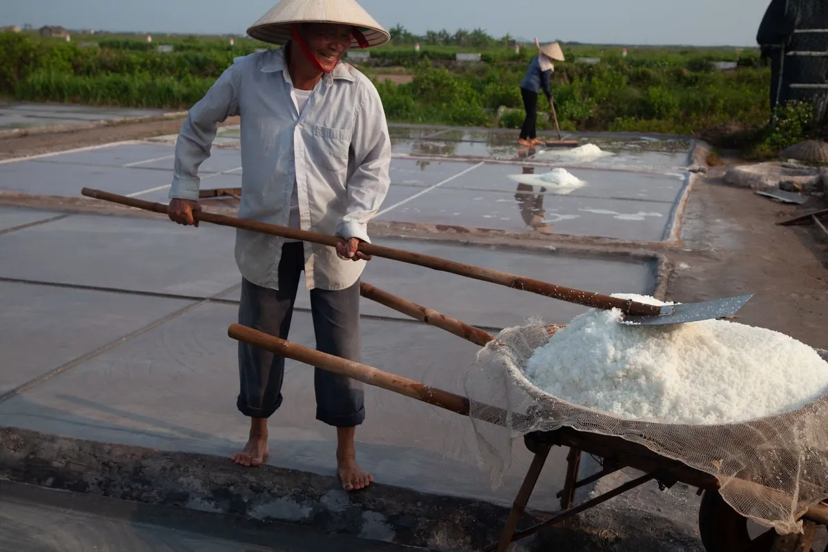 Những người cõng nắng, cõng gió trên cánh đồng muối - Ảnh 16.