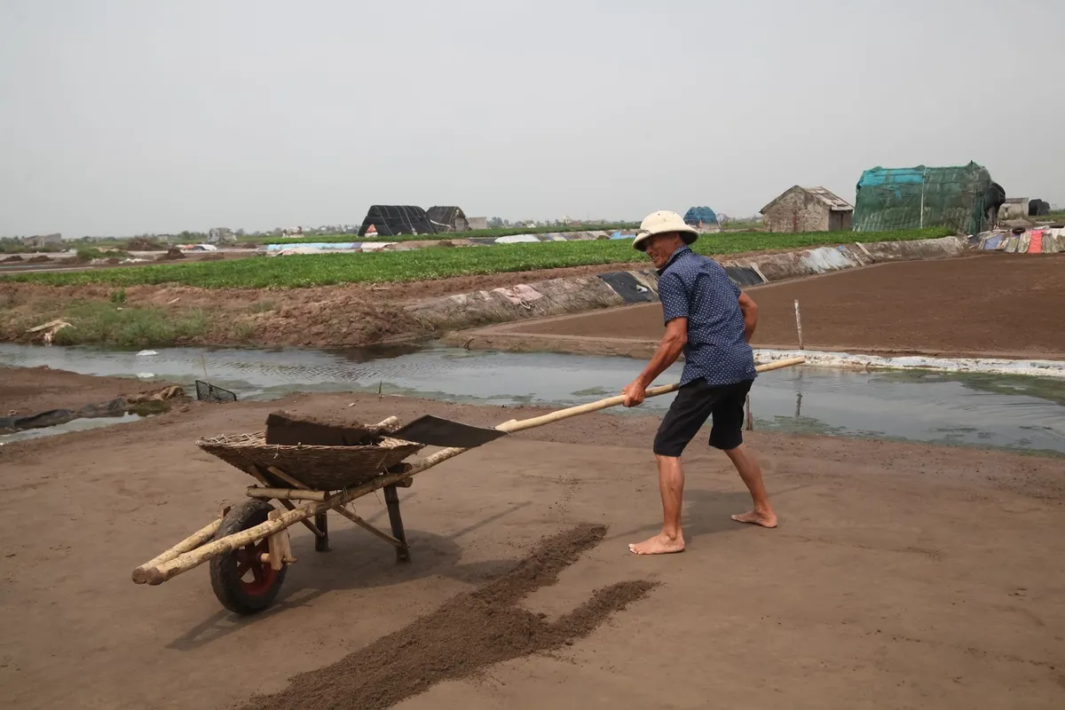 Những người cõng nắng, cõng gió trên cánh đồng muối - Ảnh 15.