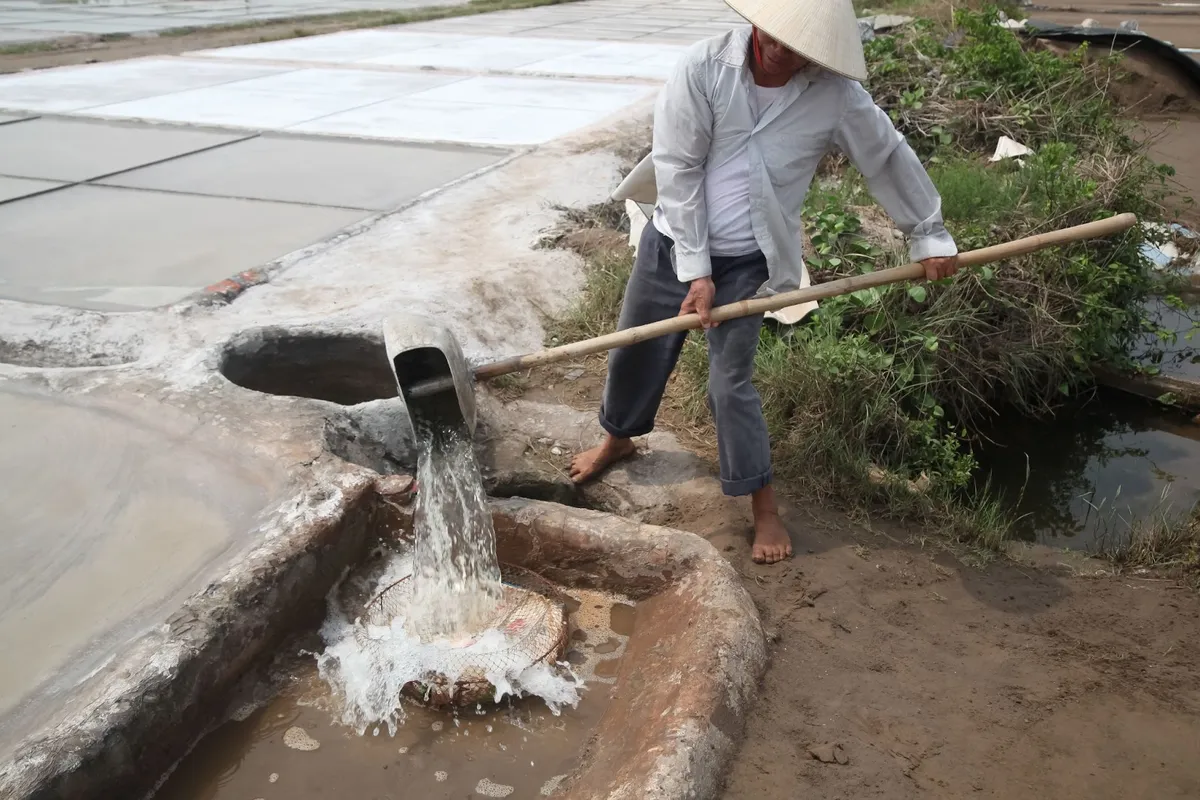 Những người cõng nắng, cõng gió trên cánh đồng muối - Ảnh 3.