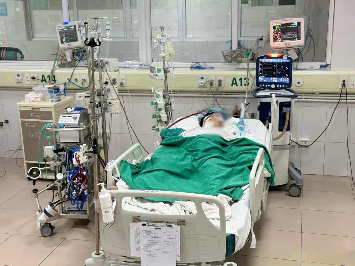 Nguy kịch do mắc cúm B - Ảnh 2. Nguy kịch do mắc cúm B - Ảnh 2.