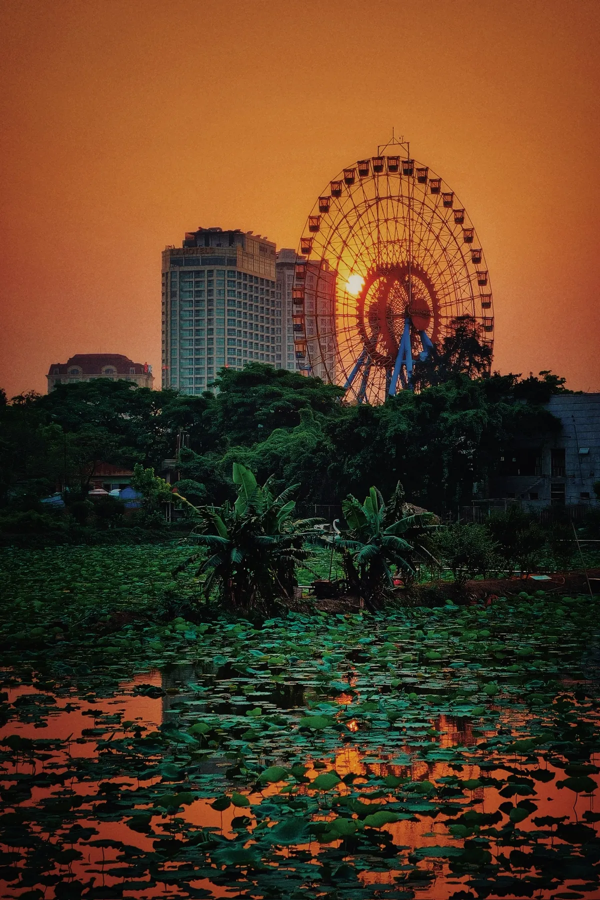 Vẻ đẹp ngất ng&acirc;y của ho&agrave;ng h&ocirc;n hồ T&acirc;y - Ảnh 6.