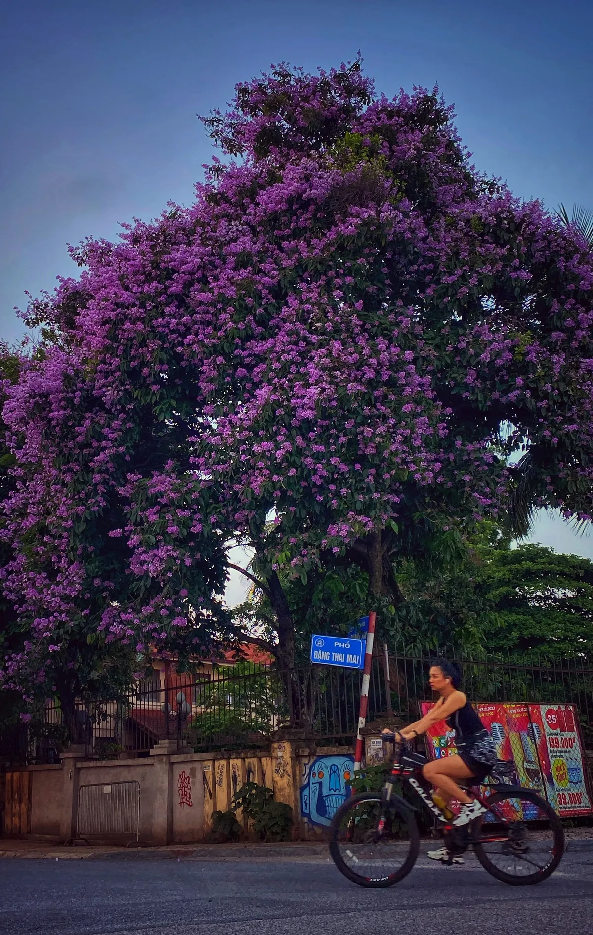 Vẻ đẹp ngất ng&acirc;y của ho&agrave;ng h&ocirc;n hồ T&acirc;y - Ảnh 5.