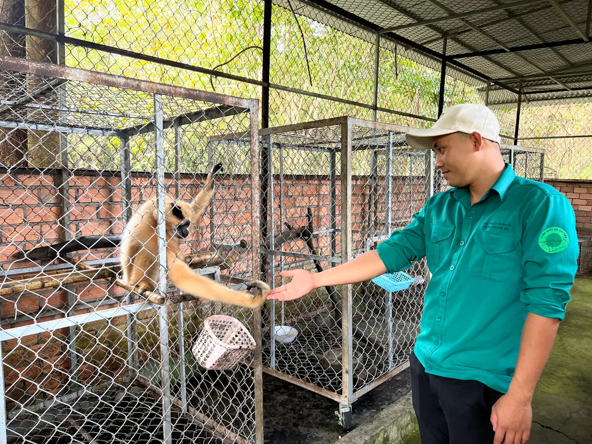 Tái thả tê tê và rùa về ngôi nhà tự nhiên – nỗ lực của những người làm bảo tồn tại VQG Cát Tiên - Ảnh 6.