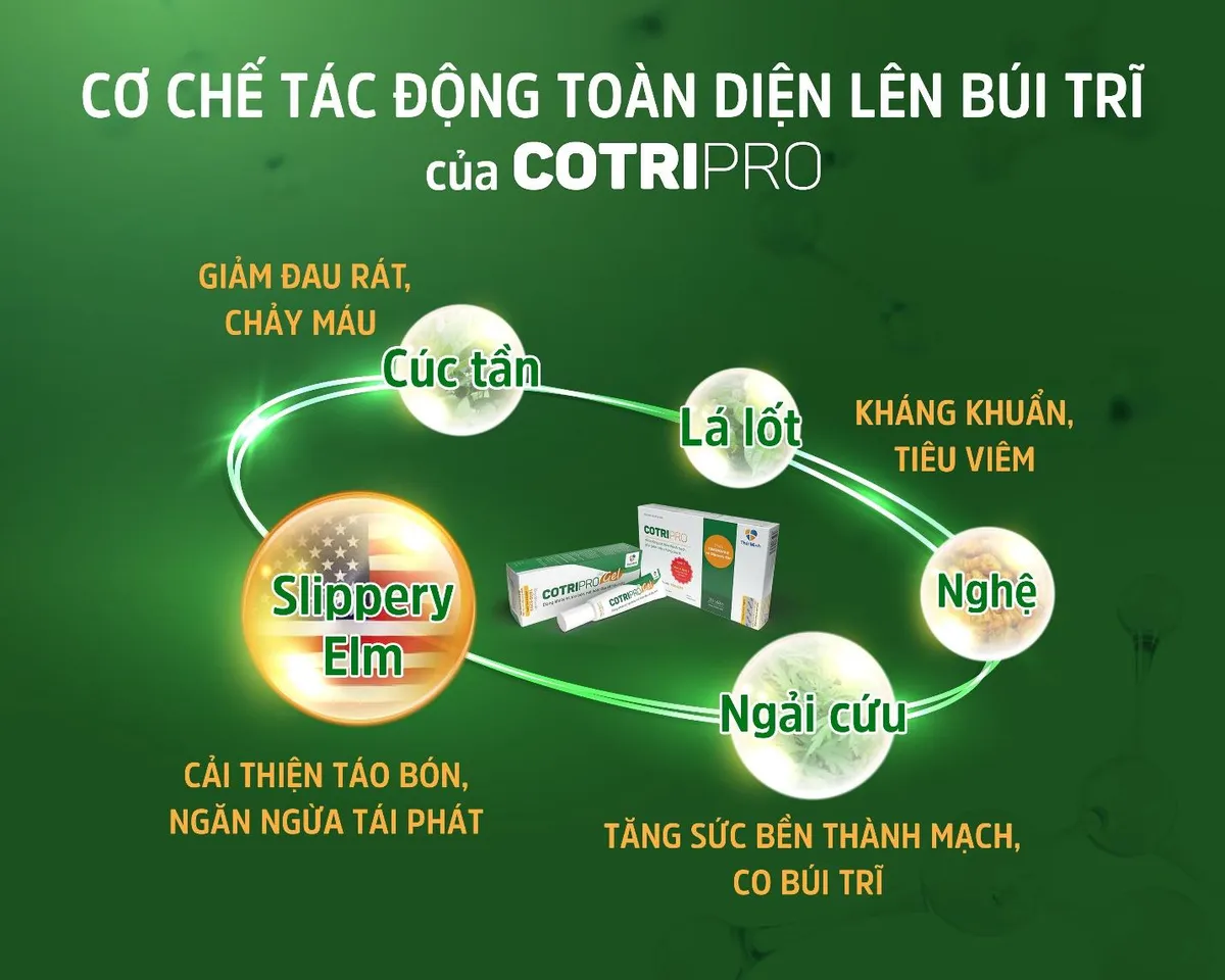 CotriPro &ndash; Sản phẩm được nghi&ecirc;n cứu tại Đại học Y H&agrave; Nội - Ảnh 4.