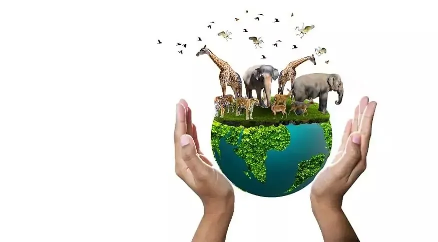 Chung tay phục hồi v&agrave; bảo tồn đa dạng sinh học - Ảnh 1.