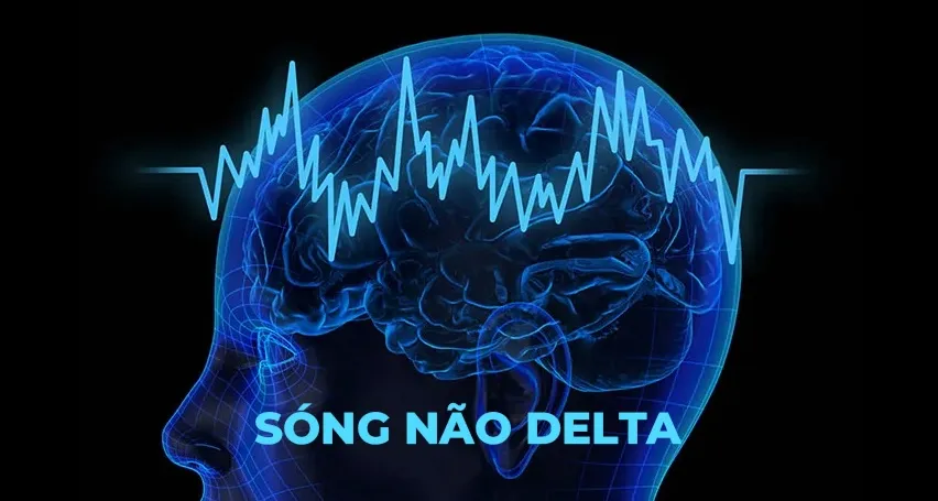 Viên uống ngủ ngon Sonaline - Tìm ra giải pháp hoàn hảo cho giấc ngủ trọn vẹn đến từ Tây Ban Nha - Ảnh 2. Viên uống ngủ ngon Sonaline - Tìm ra giải pháp hoàn hảo cho giấc ngủ trọn vẹn đến từ Tây Ban Nha - Ảnh 2.