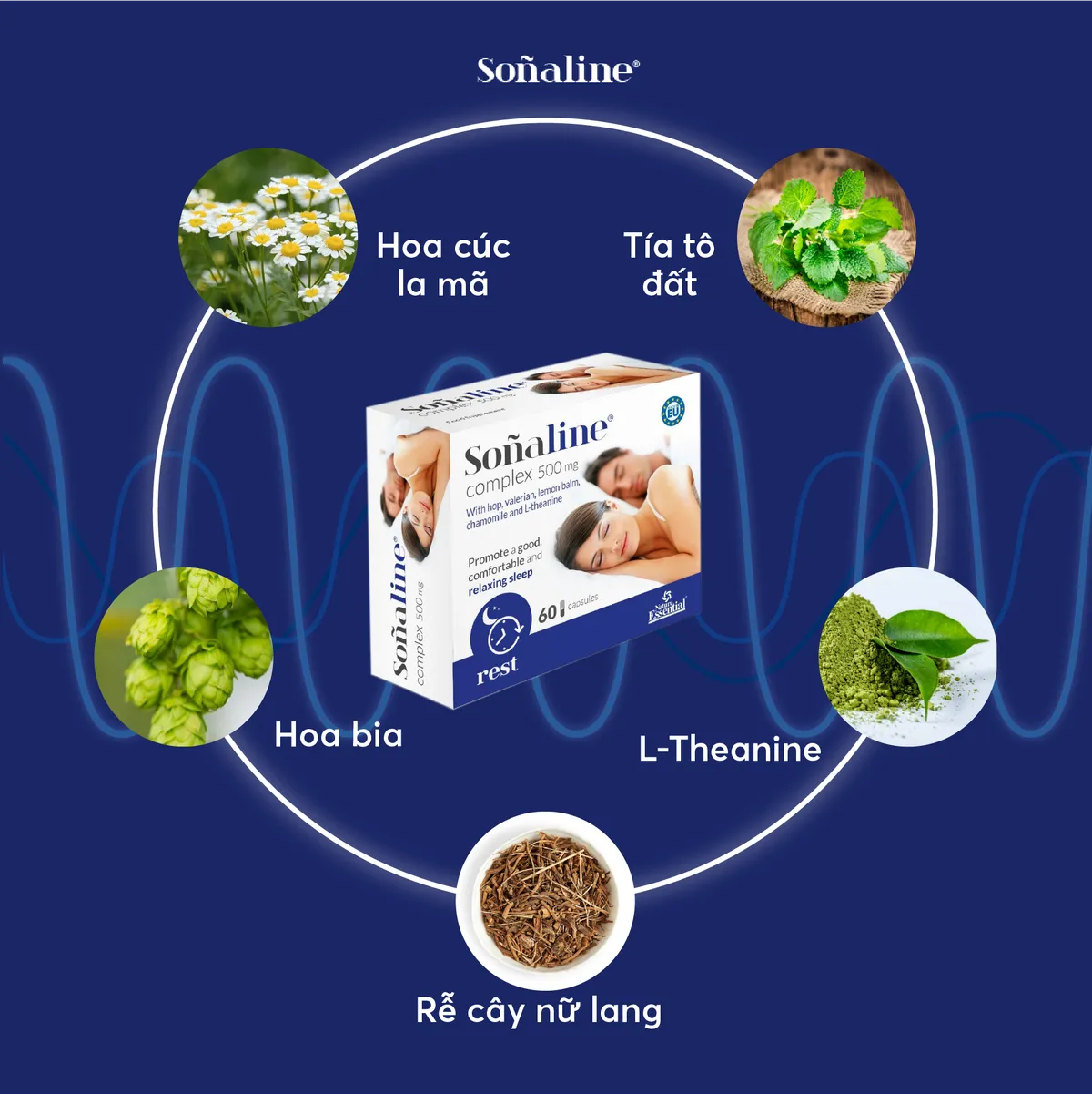 Viên uống ngủ ngon Sonaline - Tìm ra giải pháp hoàn hảo cho giấc ngủ trọn vẹn đến từ Tây Ban Nha - Ảnh 3. Viên uống ngủ ngon Sonaline - Tìm ra giải pháp hoàn hảo cho giấc ngủ trọn vẹn đến từ Tây Ban Nha - Ảnh 3.
