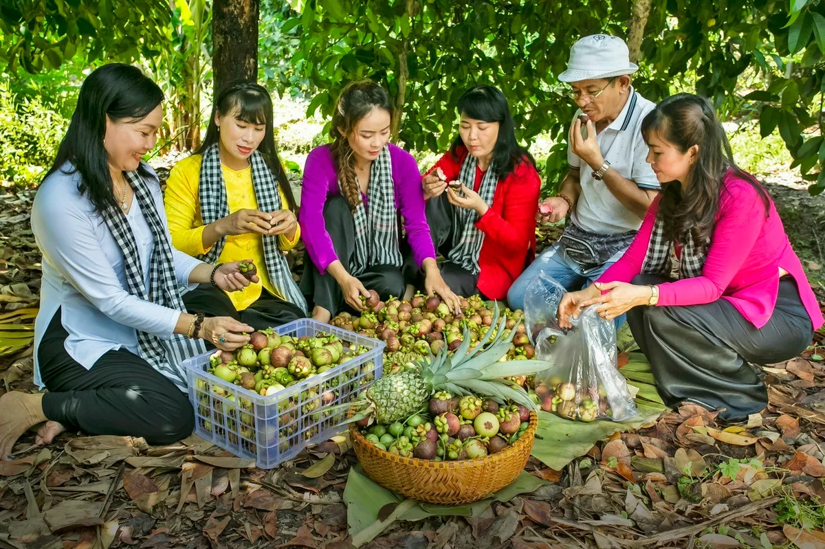 Bình Dương: Tổ chức Lễ hội Mùa trái chín vào giữa tháng 6 - Ảnh 3.