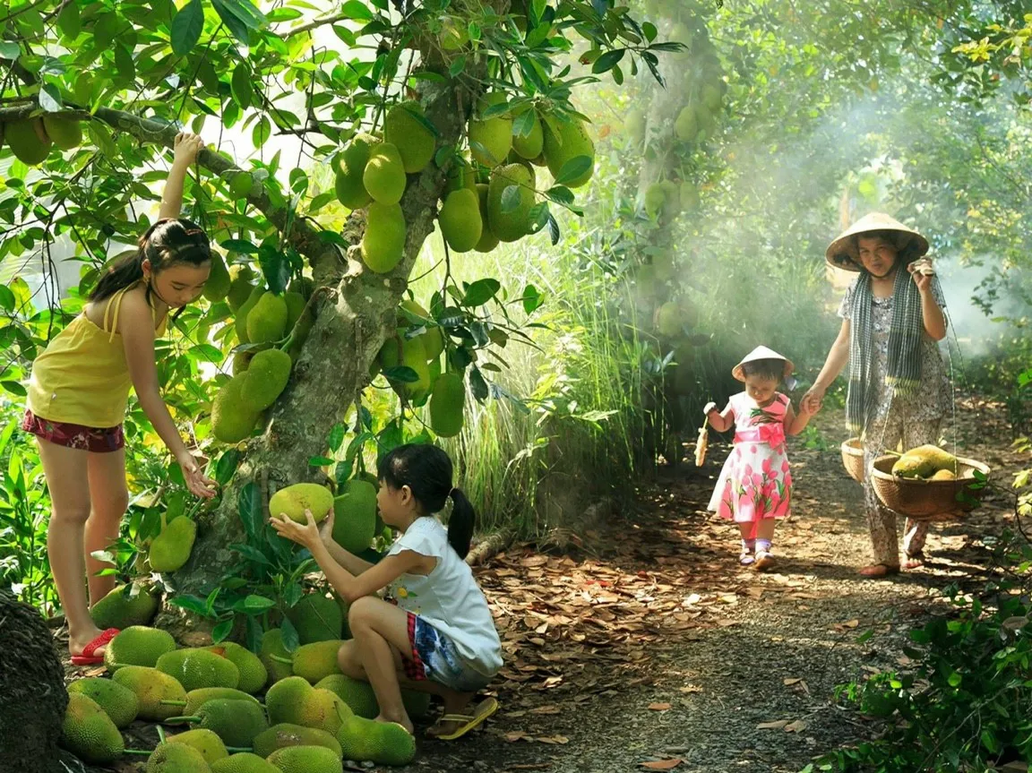 Bình Dương: Tổ chức Lễ hội Mùa trái chín vào giữa tháng 6 - Ảnh 2.