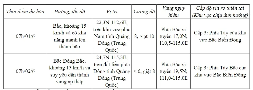 Áp thấp nhiệt đới giật cấp 9, di chuyển theo hướng Bắc với tốc độ khoảng 10km/h - Ảnh 1.