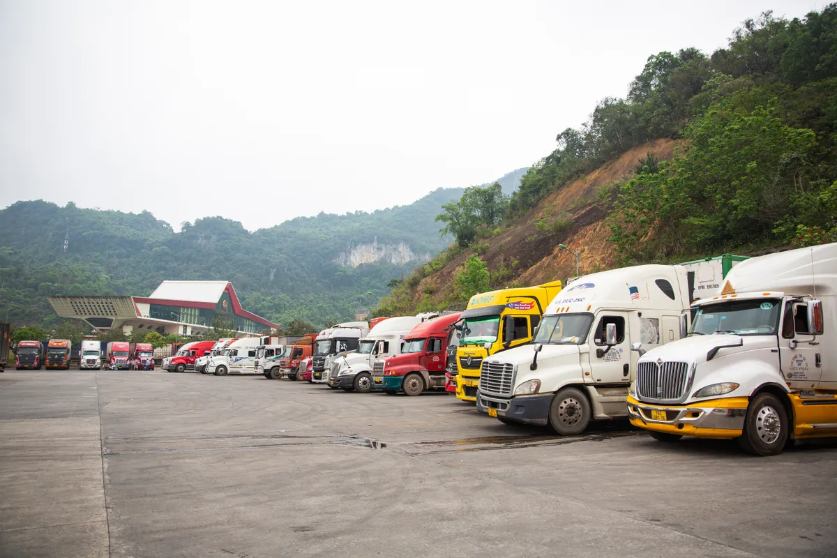 Cấp b&aacute;ch c&oacute; hướng dẫn việc kiểm tra thực phẩm nhập khẩu, bảo đảm khả thi, th&ocirc;ng quan kịp thời, th&ocirc;ng suốt - Ảnh 1.