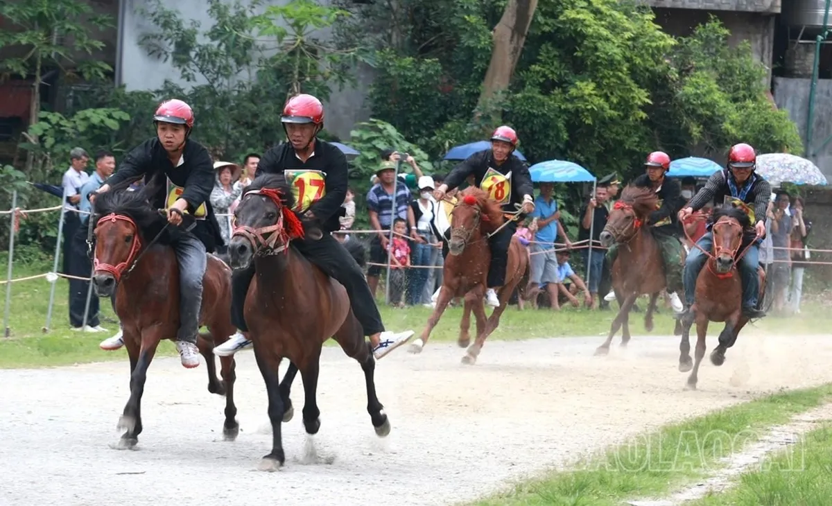 Khai màn Giải đua ngựa truyền thống huyện Bắc Hà, Lào Cai - Ảnh 1.