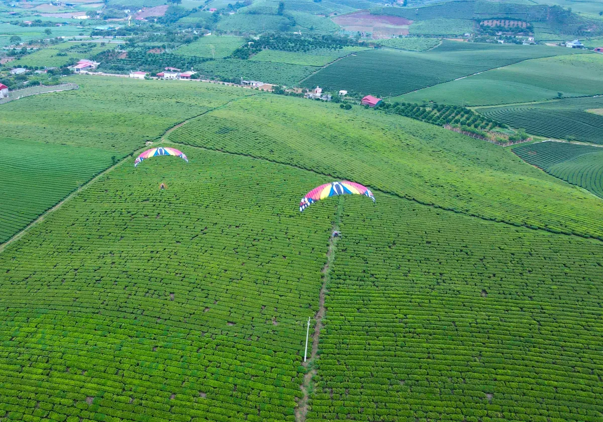 Mộc Châu: Điểm đến “xanh” ngày càng hấp dẫn du khách - Ảnh 2.