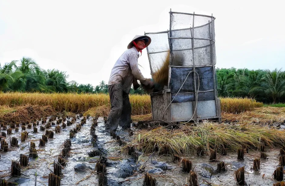 Đẩy mạnh giải pháp phục hồi đất, ngăn chặn sa mạc hóa - Ảnh 1.