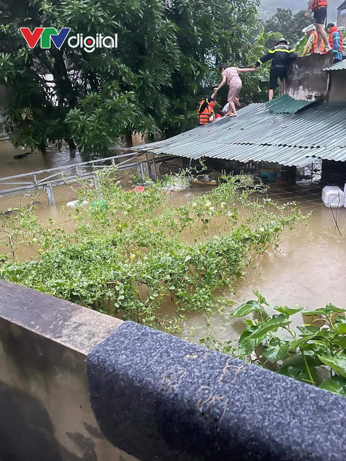 Hà Giang mưa rất lớn gây ngập lụt, lũ khẩn cấp trên sông Lô - Ảnh 3.