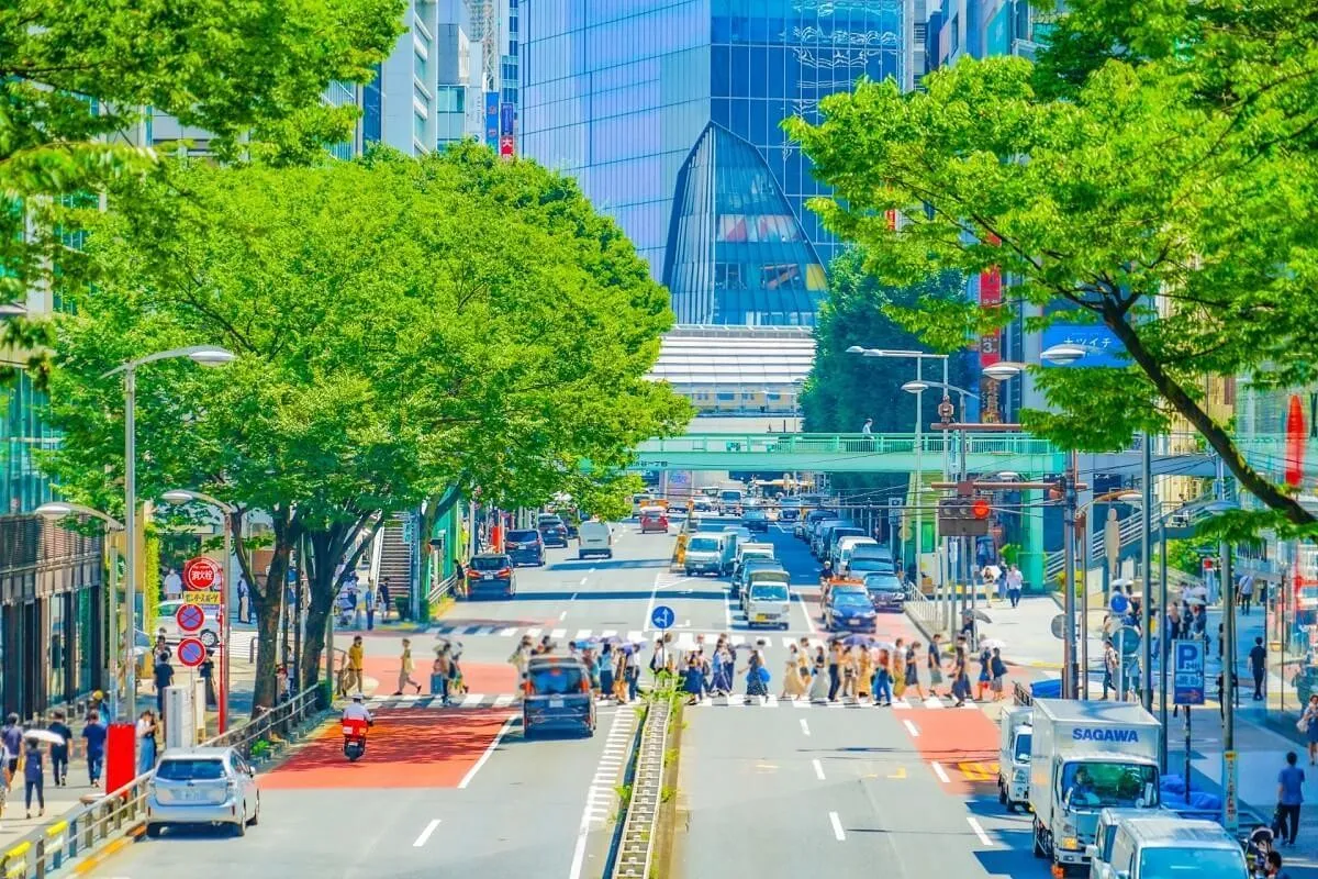 TransViet khuấy đảo m&ugrave;a h&egrave; với Ch&ugrave;m tour &ldquo;giải nhiệt&rdquo; cực đ&atilde; - Ảnh 2.