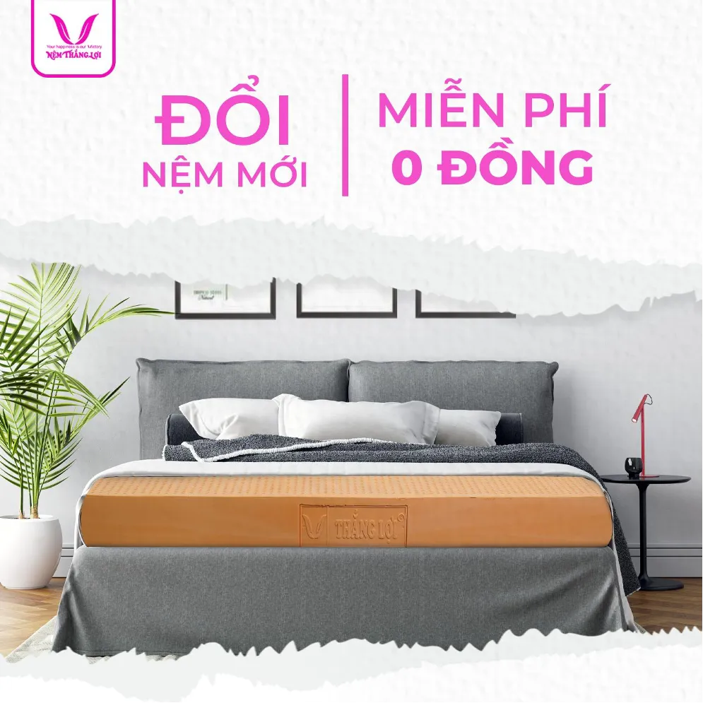 Nệm Thắng Lợi tri ân khách hàng: “Đổi nệm cũ – Lấy nệm mới” - Ảnh 1. Nệm Thắng Lợi tri ân khách hàng: “Đổi nệm cũ – Lấy nệm mới” - Ảnh 1.