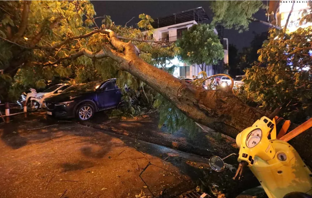 Hà Nội: Mưa kèm gió lớn, nhiều cây xanh bật gốc đổ đè trúng hàng loạt ô tô - Ảnh 2.