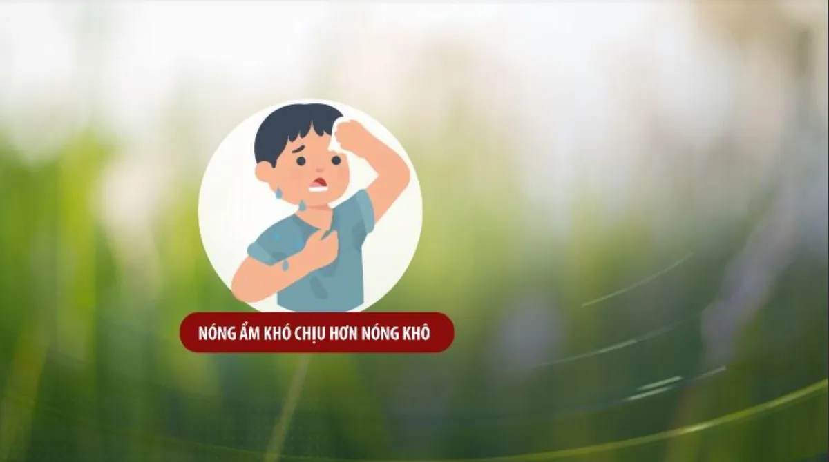 Nắng nóng, oi bức khó chịu ở Bắc Bộ kéo dài đến khi nào? - Ảnh 2.