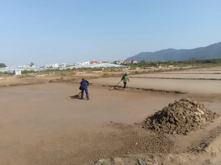 Diêm dân ở Thanh Hóa vào vụ, “phơi mình” dưới cái nắng 40 độ C - Ảnh 1.