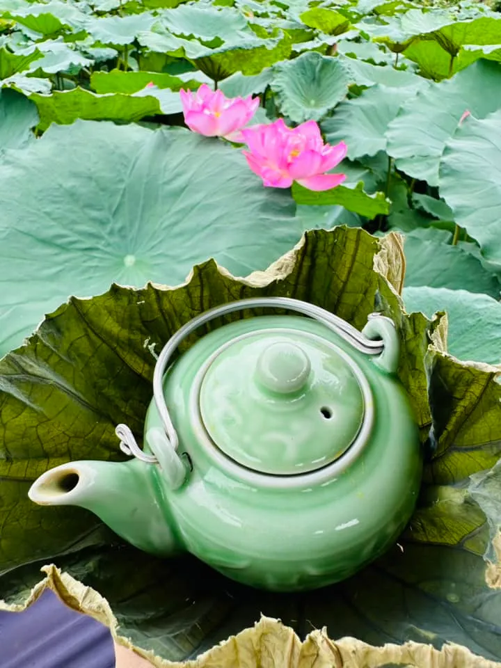 Lần đầu ti&ecirc;n H&agrave; Nội tổ chức Lễ hội sen - Ảnh 1.