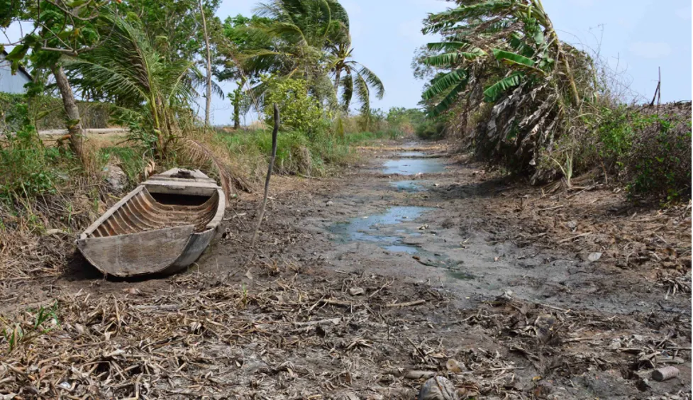 X&acirc;m ngập mặn ở miền T&acirc;y: Nỗ lực đồng l&ograve;ng tạo sinh kế cho người d&acirc;n - Ảnh 1.