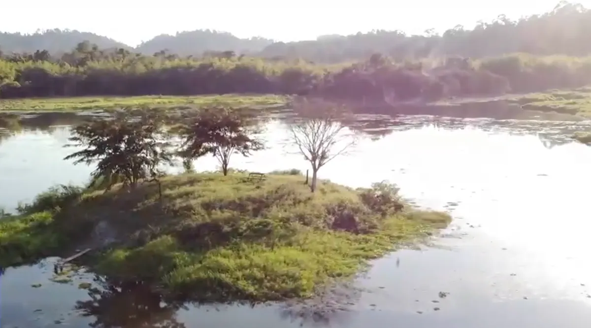 Kinh nghiệm của vườn quốc gia được c&ocirc;ng nhận Danh lục xanh - Ảnh 1.