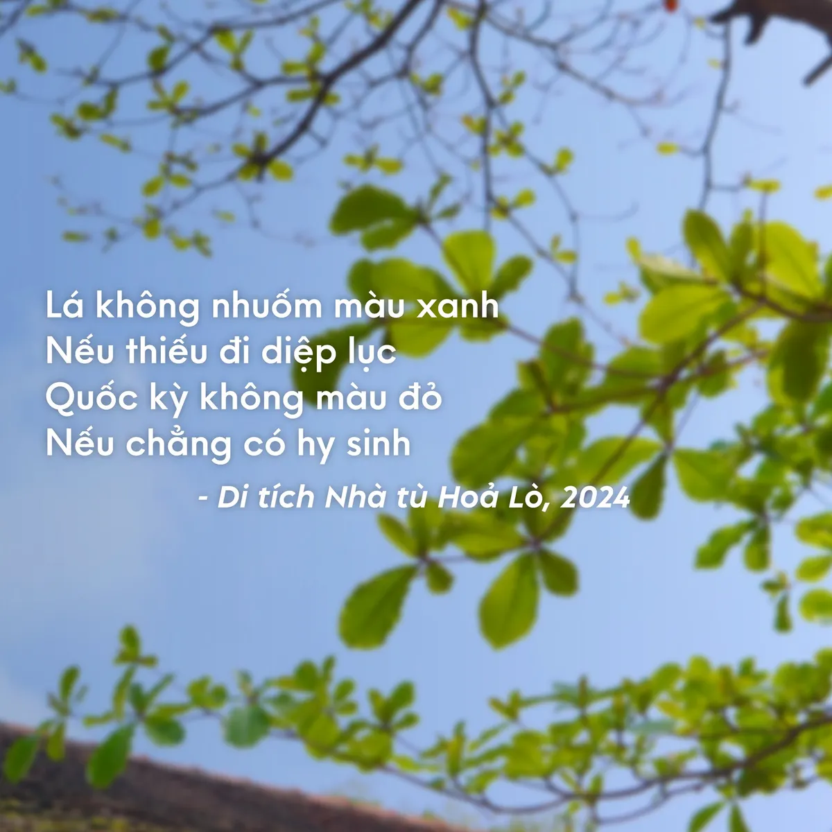 Đêm thiêng liêng - Bước đột phá trong cách làm du lịch về di tích - Ảnh 7.