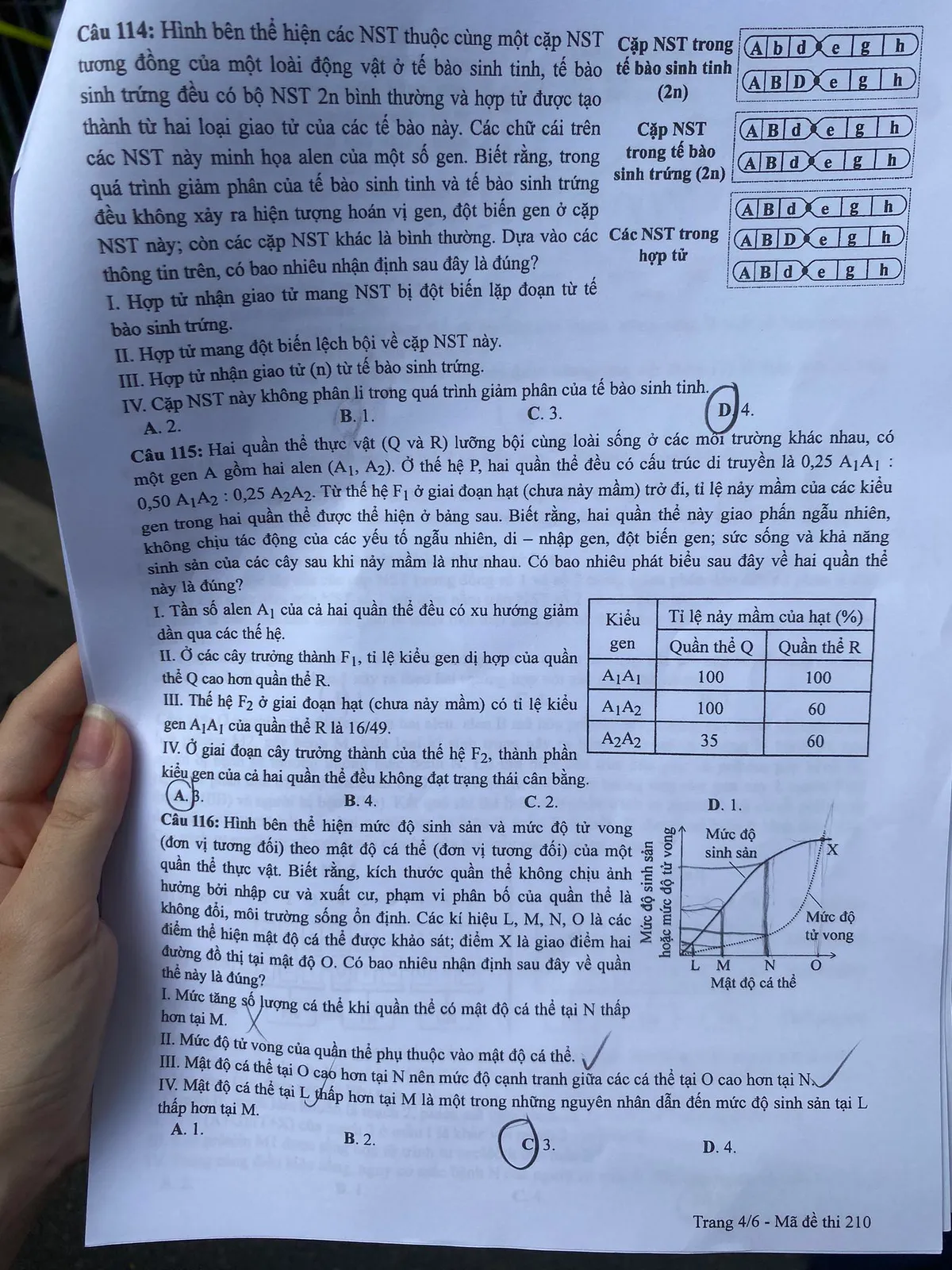 Đề thi và gợi ý đáp án môn Sinh học - Ảnh 4.